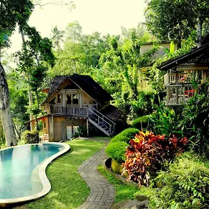 Prashanti Bali 2*, Ubud (Bali) Indonesia